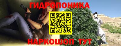 стафф Славянск-на-Кубани