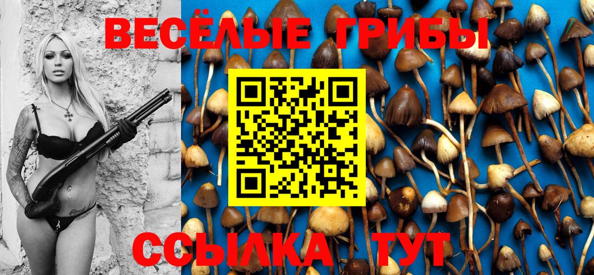 Псилоцибиновые грибы мухоморы  Галлюциногенные грибы ЛСД  купить наркотик  Саранск  Вход с VPN 