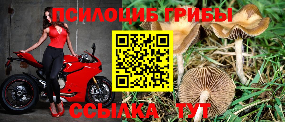 Псилоцибиновые грибы MAGIC MUSHROOMS Саранск